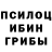 Псилоцибиновые грибы MAGIC MUSHROOMS marina bmw