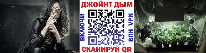 купить   Санкт-Петербург  Бошки Шишки THC 21% 